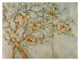 White Magnolia Triptych
