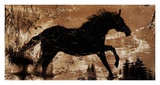 Buy A Dreamers Run II at AllPosters.com