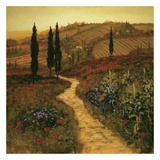Down the Lane