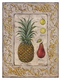 Tropical Fruit II