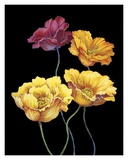 Buy Midnight Bloom I at AllPosters.com