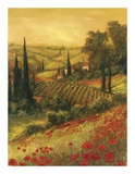 Buy Toscano Valley II at AllPosters.com