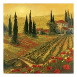 Buy Poppies of Toscano I at AllPosters.com
