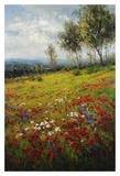Buy Wildflowers at AllPosters.com