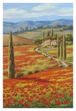 Red Poppy Field Art Print