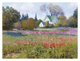 Buy Utah Scenery at AllPosters.com