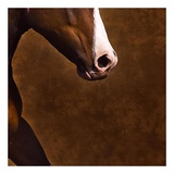 Buy Bella III (detail no. 6) at AllPosters.com