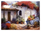 Casa Paloma