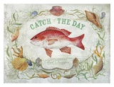 Snapper