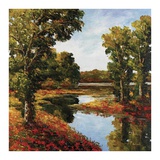 Inlet Reflections
