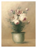 Buy Evelyn at AllPosters.com