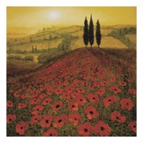 Poppy Field