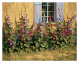 Buy Blue Shutters at AllPosters.com