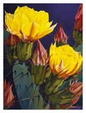 Buy Treasures in Highlight III at AllPosters.com