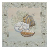 Buy Pastel Shell IV at AllPosters.com