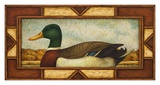 Mallard