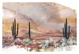 Buy Sunset Point at AllPosters.com