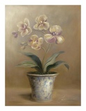 Buy Olivia's Flowers I at AllPosters.com