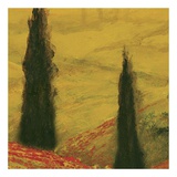 Buy Poppies of Toscano II, no. 6 at AllPosters.com