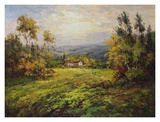 Buy Green Grass at Home at AllPosters.com