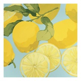 Buy Fresh Lemons at AllPosters.com