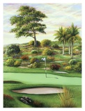 Breezy Green at Emerald Dunes, the 4th