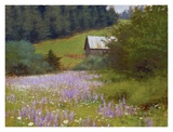 Buy Coast Range Display at AllPosters.com