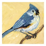 Buy Bird Square II at AllPosters.com