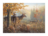 Buy Throwing Caution to the Wind at AllPosters.com