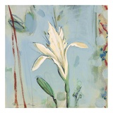 Buy Imogen at AllPosters.com