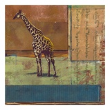 Serengeti Giraffe