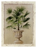 Tropical Persuasion II