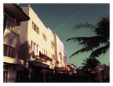 Buy Black Palms at AllPosters.com