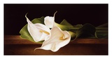 Buy Calla Lillies on Ledge at AllPosters.com