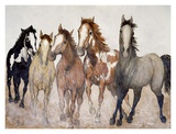 Buy Whoa Slow Down at AllPosters.com