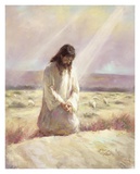 Shepherd