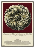 Buy Rosone Antico IV at AllPosters.com