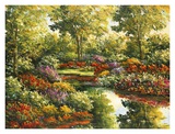 Water Garden Reflections