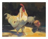 Buy Rooster III at AllPosters.com