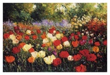 Summer Blooms