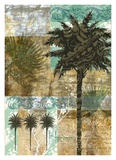 Buy Palm III at AllPosters.com