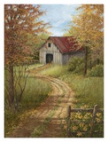 Roadside Barn