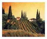 Vineyards of Tuscany