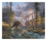 Buy Eagles Perch at AllPosters.com