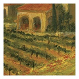 Buy Poppies of Toscano II, no. 11 at AllPosters.com