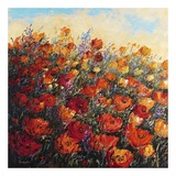 Poppy Dance II