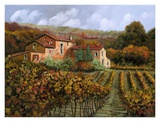 Tra Le Vigne a Montalcino