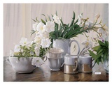 Buy Tante Tazze Bianche at AllPosters.com