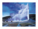Old Faithful