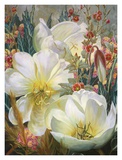 Buy Mojave Wildflowers at AllPosters.com